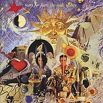 洋楽 Tears For Fears The Seeds Of Love Boxset The Tears For Fears 'The Seeds of Love' deluxe box set is